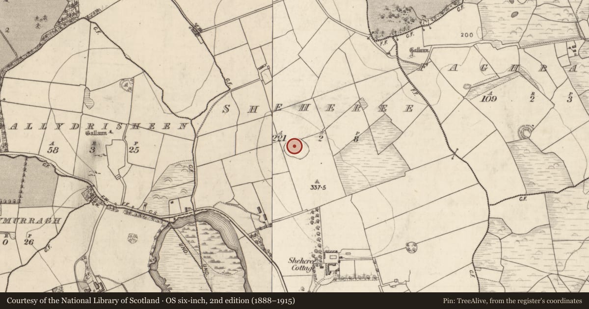 Ordnance Survey six-inch map, 2nd edition (1888–1915) covering the location of Rock scribing, Sheheree, County Kerry, with a pin at the register's coordinates