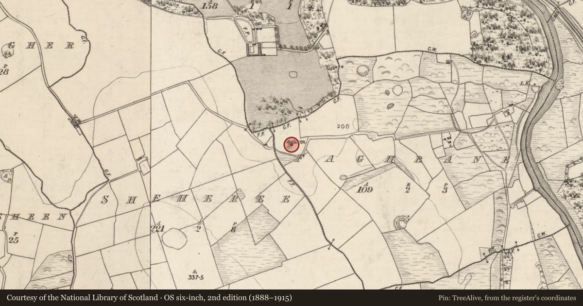 Ordnance Survey six-inch map, 2nd edition (1888–1915) covering the location of Standing stone, Faghbane, County Kerry, with a pin at the register's coordinates