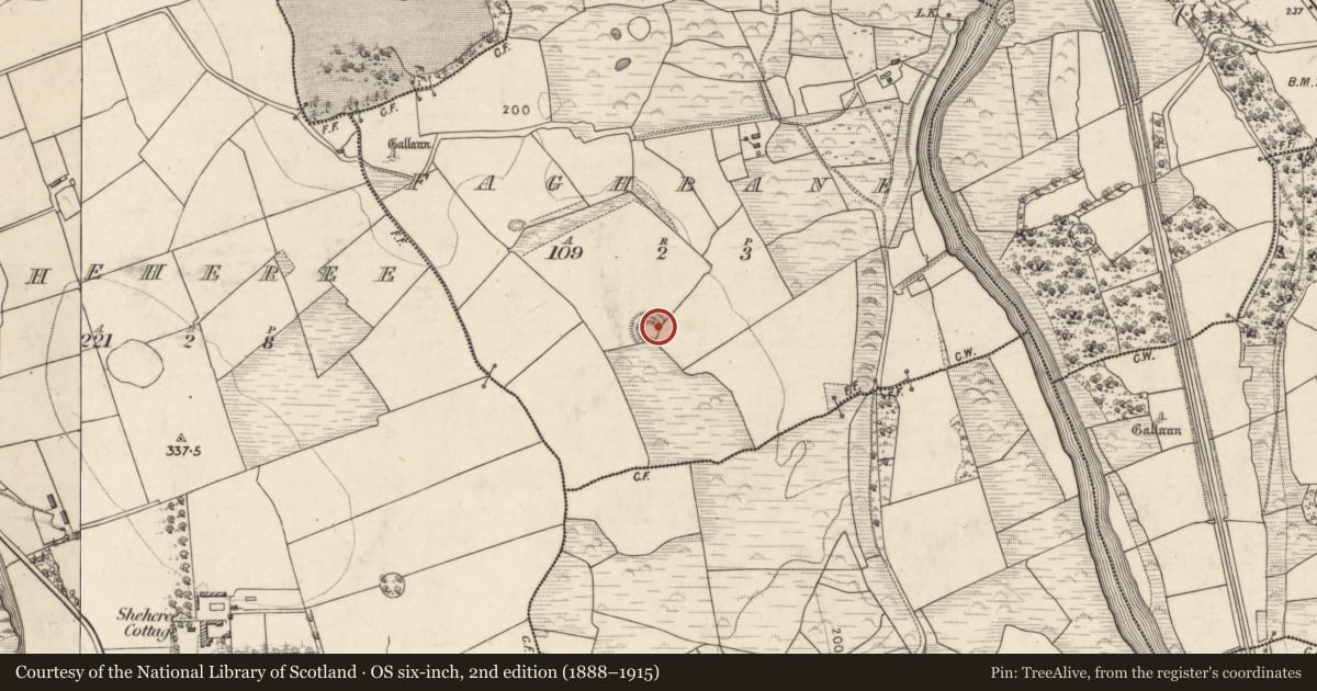 Ordnance Survey six-inch map, 2nd edition (1888–1915) covering the location of Ringfort - rath, Faghbane, County Kerry, with a pin at the register's coordinates