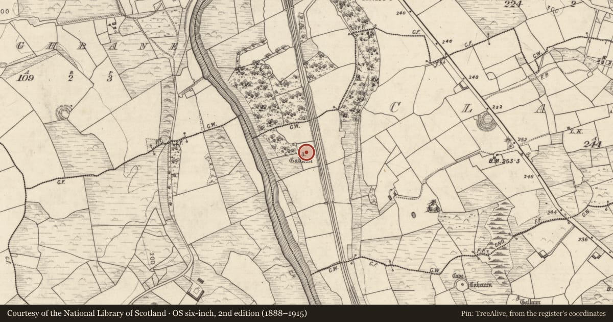Ordnance Survey six-inch map, 2nd edition (1888–1915) covering the location of Standing stone, Clasheen, County Kerry, with a pin at the register's coordinates