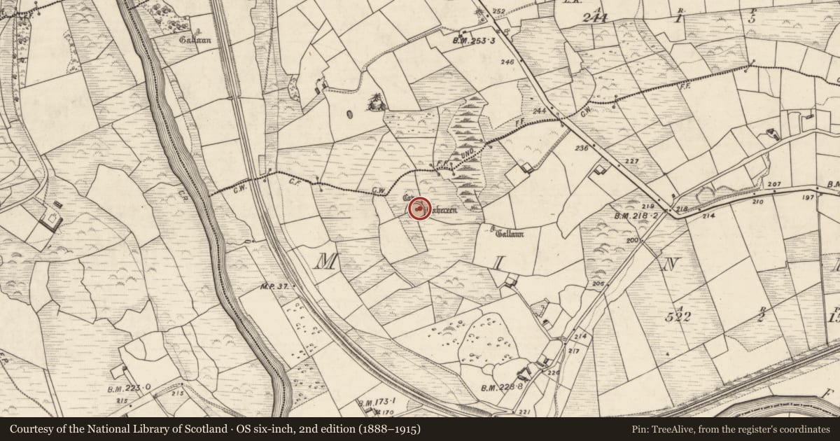 Ordnance Survey six-inch map, 2nd edition (1888–1915) covering the location of Ringfort - cashel, Minish, County Kerry, with a pin at the register's coordinates