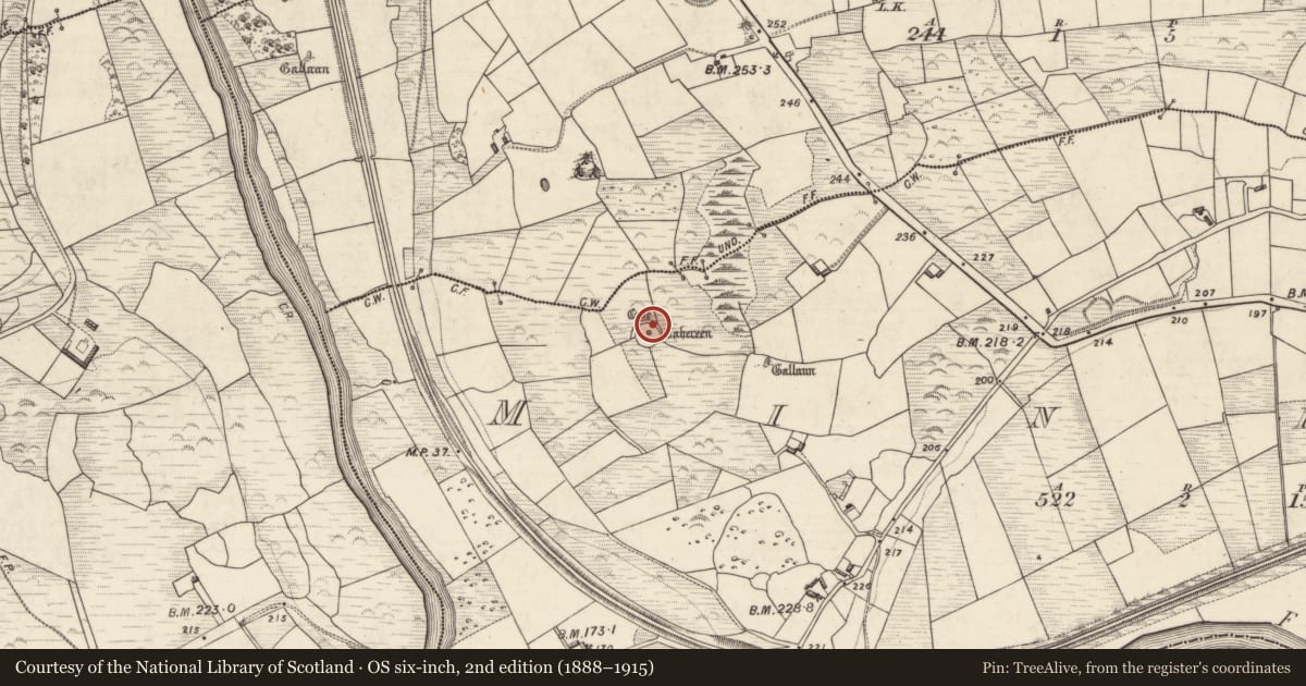 Ordnance Survey six-inch map, 2nd edition (1888–1915) covering the location of Souterrain, Minish, County Kerry, with a pin at the register's coordinates