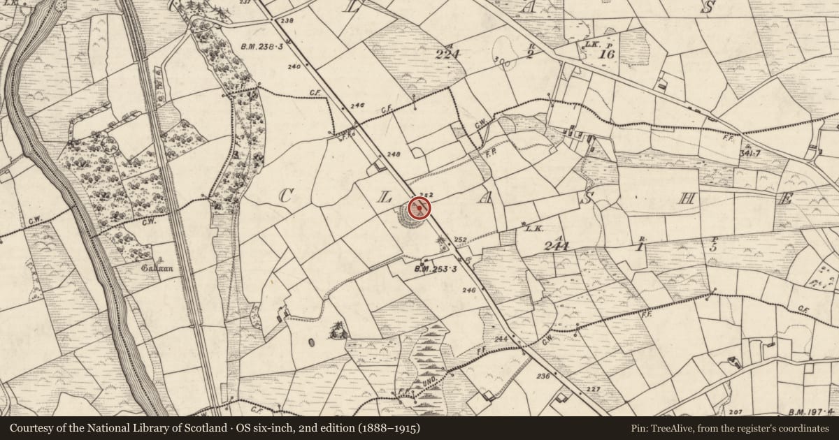 Ordnance Survey six-inch map, 2nd edition (1888–1915) covering the location of Souterrain, Clasheen, County Kerry, with a pin at the register's coordinates