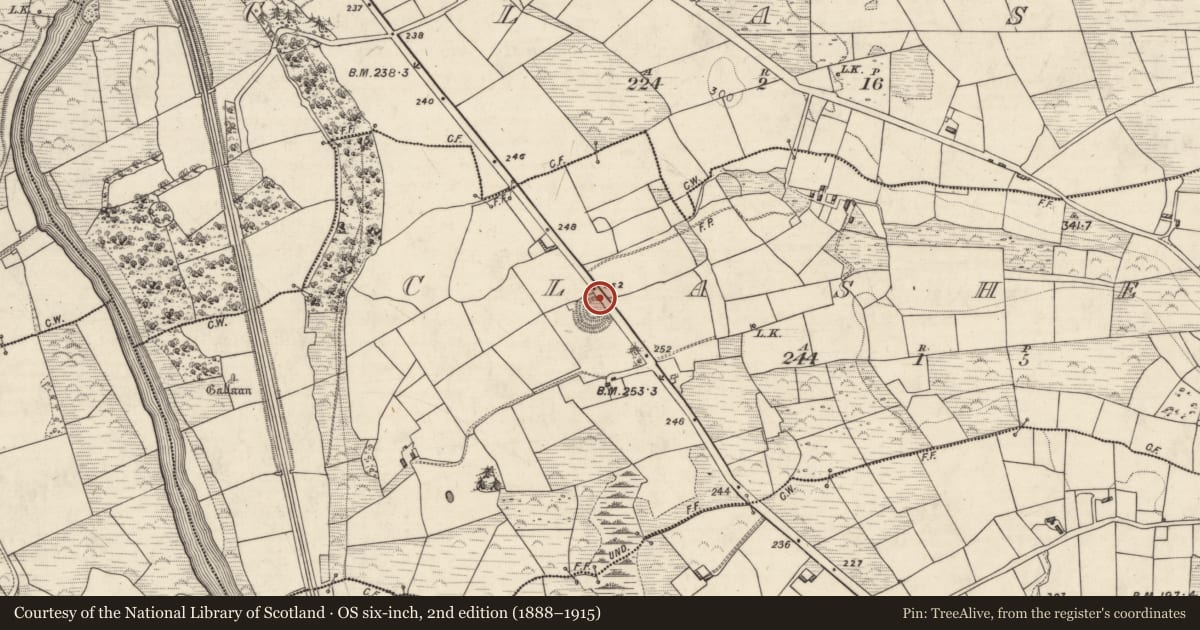 Ordnance Survey six-inch map, 2nd edition (1888–1915) covering the location of Hut site, Clasheen, County Kerry, with a pin at the register's coordinates