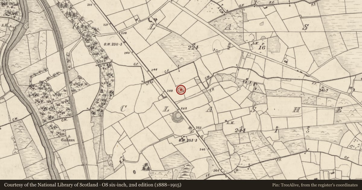 Ordnance Survey six-inch map, 2nd edition (1888–1915) covering the location of Enclosure, Clasheen, County Kerry, with a pin at the register's coordinates