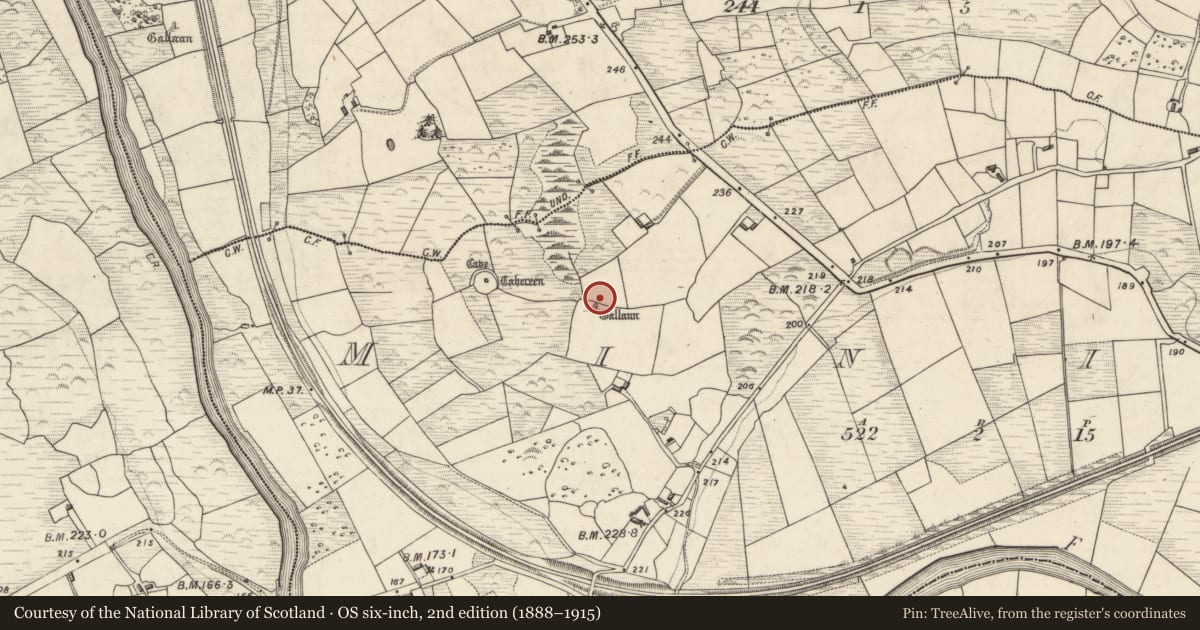 Ordnance Survey six-inch map, 2nd edition (1888–1915) covering the location of Standing stone, Minish, County Kerry, with a pin at the register's coordinates