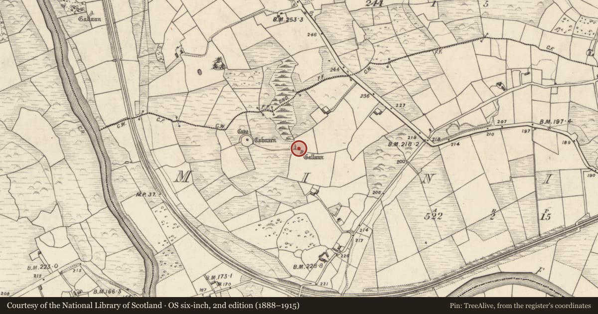 Ordnance Survey six-inch map, 2nd edition (1888–1915) covering the location of Standing stone, Minish, County Kerry, with a pin at the register's coordinates