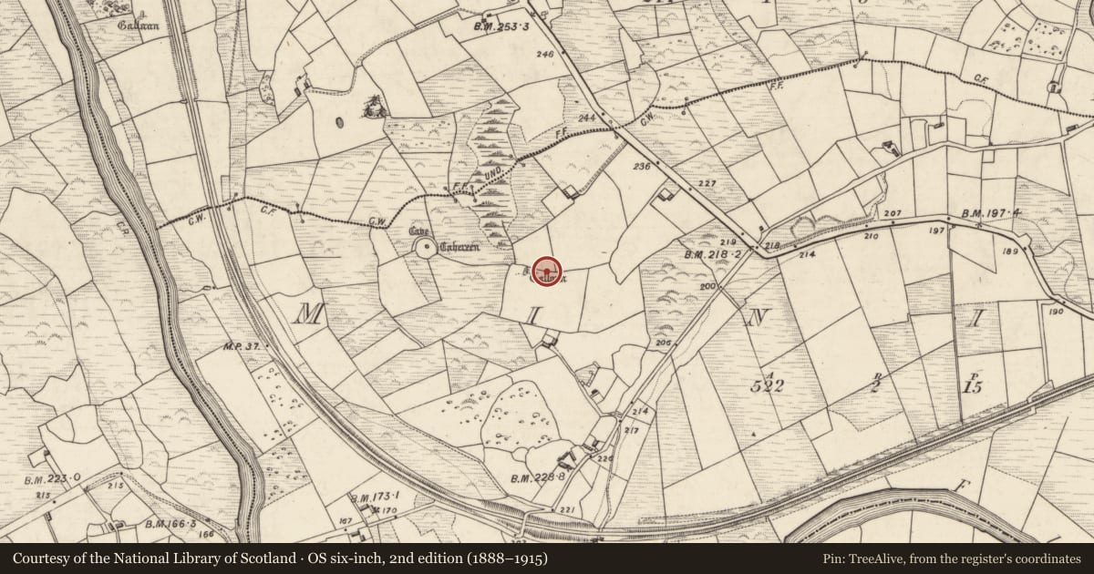 Ordnance Survey six-inch map, 2nd edition (1888–1915) covering the location of Standing stone, Minish, County Kerry, with a pin at the register's coordinates