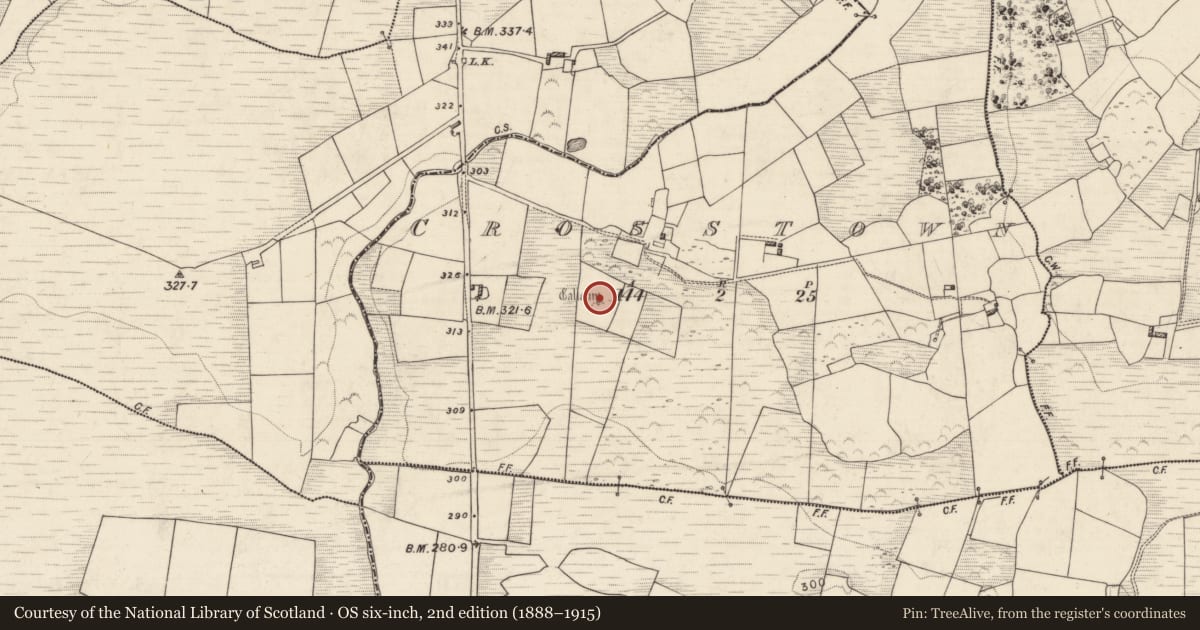 Ordnance Survey six-inch map, 2nd edition (1888–1915) covering the location of Standing stone, Crosstown, County Kerry, with a pin at the register's coordinates