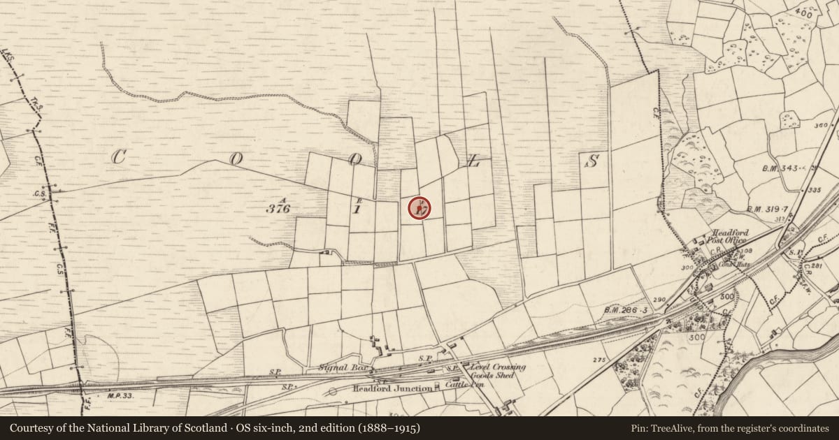 Ordnance Survey six-inch map, 2nd edition (1888–1915) covering the location of Cist, Cools, County Kerry, with a pin at the register's coordinates