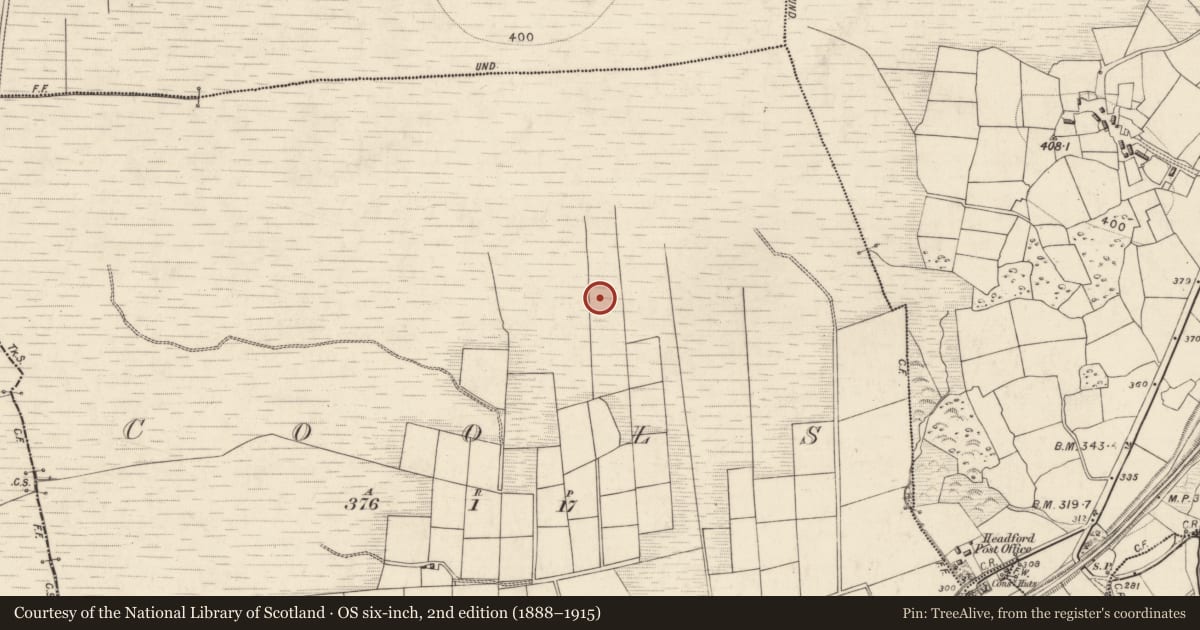 Ordnance Survey six-inch map, 2nd edition (1888–1915) covering the location of Enclosure, Cools, County Kerry, with a pin at the register's coordinates