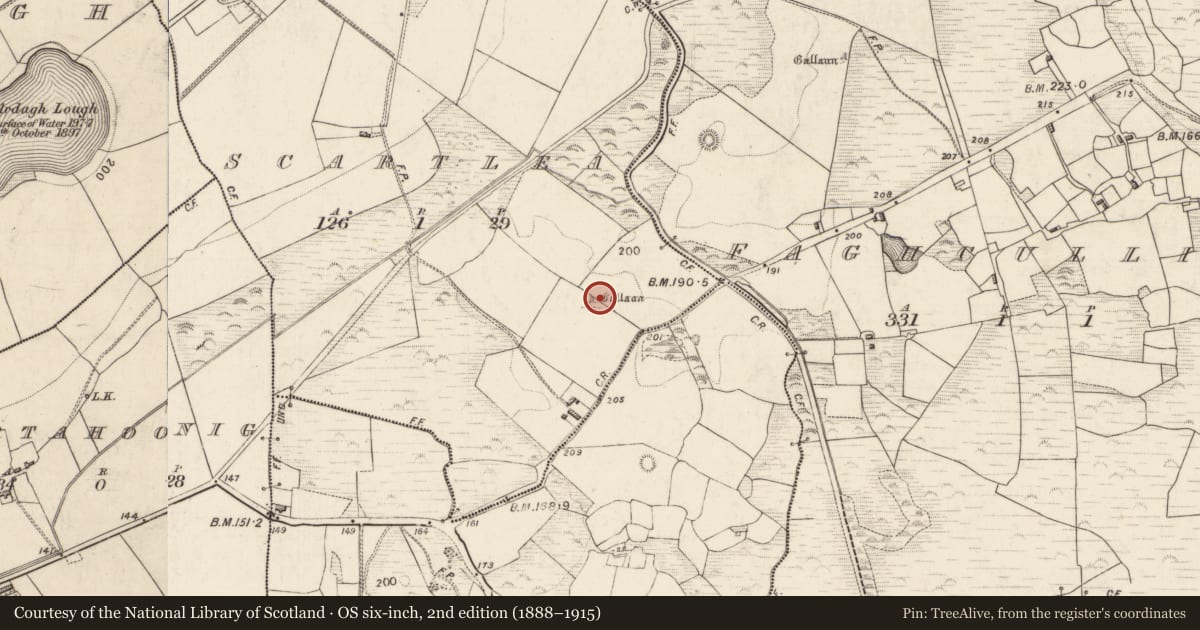 Ordnance Survey six-inch map, 2nd edition (1888–1915) covering the location of Standing stone, Scartlea, County Kerry, with a pin at the register's coordinates