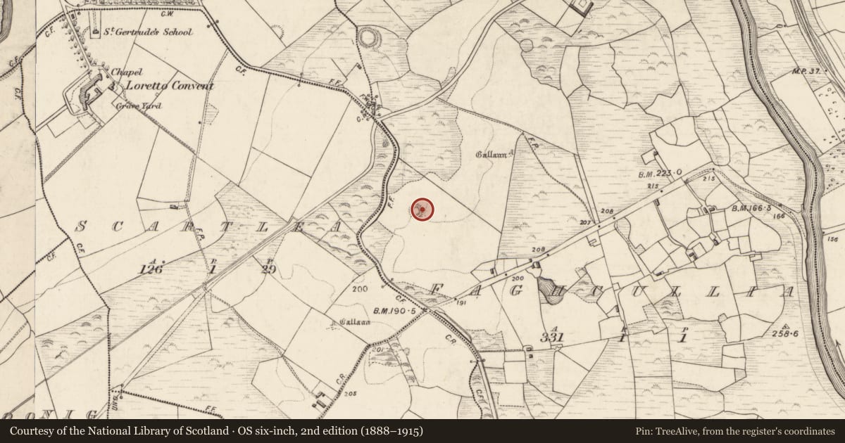 Ordnance Survey six-inch map, 2nd edition (1888–1915) covering the location of Ringfort - rath, Faghcullia, County Kerry, with a pin at the register's coordinates