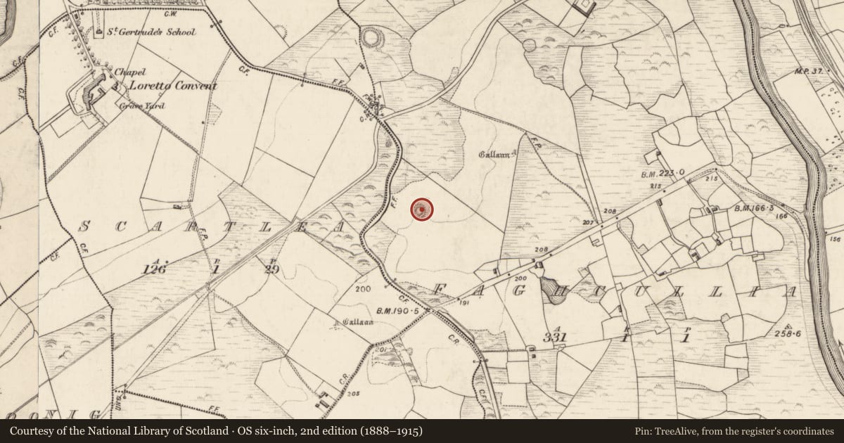 Ordnance Survey six-inch map, 2nd edition (1888–1915) covering the location of Souterrain, Faghcullia, County Kerry, with a pin at the register's coordinates