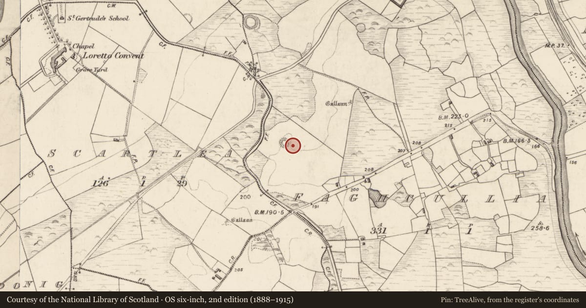 Ordnance Survey six-inch map, 2nd edition (1888–1915) covering the location of Rock scribing, Faghcullia, County Kerry, with a pin at the register's coordinates