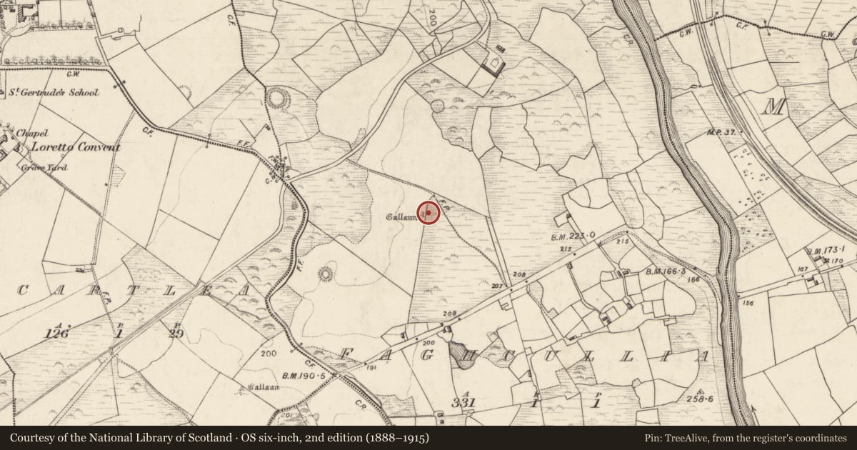 Ordnance Survey six-inch map, 2nd edition (1888–1915) covering the location of Standing stone, Faghcullia, County Kerry, with a pin at the register's coordinates