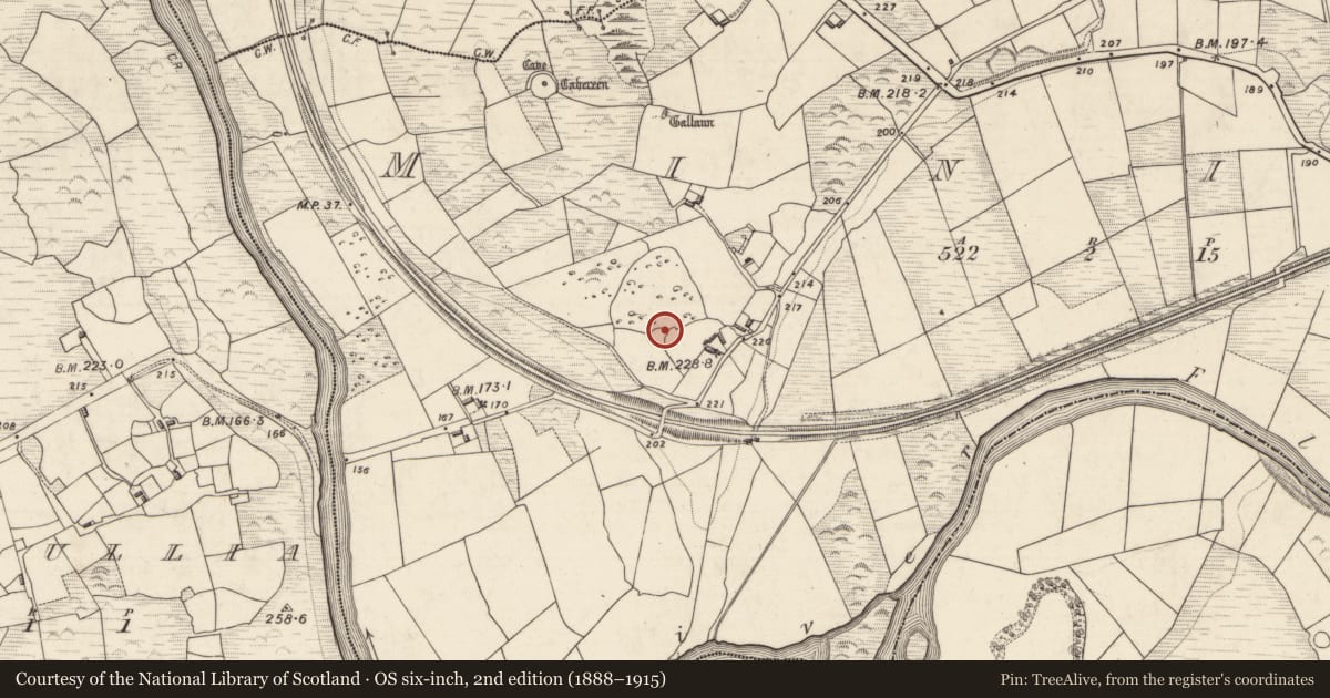 Ordnance Survey six-inch map, 2nd edition (1888–1915) covering the location of Ringfort - cashel, Minish, County Kerry, with a pin at the register's coordinates