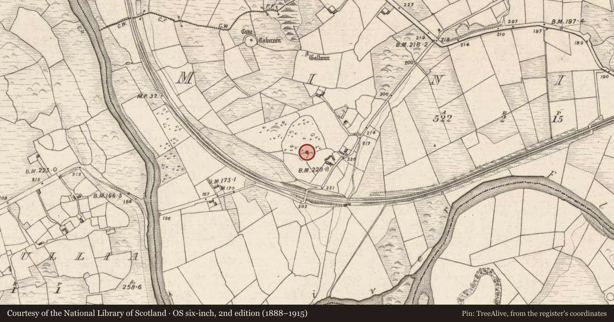 Ordnance Survey six-inch map, 2nd edition (1888–1915) covering the location of Souterrain, Minish, County Kerry, with a pin at the register's coordinates