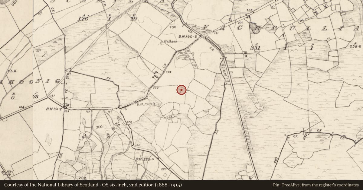 Ordnance Survey six-inch map, 2nd edition (1888–1915) covering the location of Ringfort - rath, Gortagullane, County Kerry, with a pin at the register's coordinates