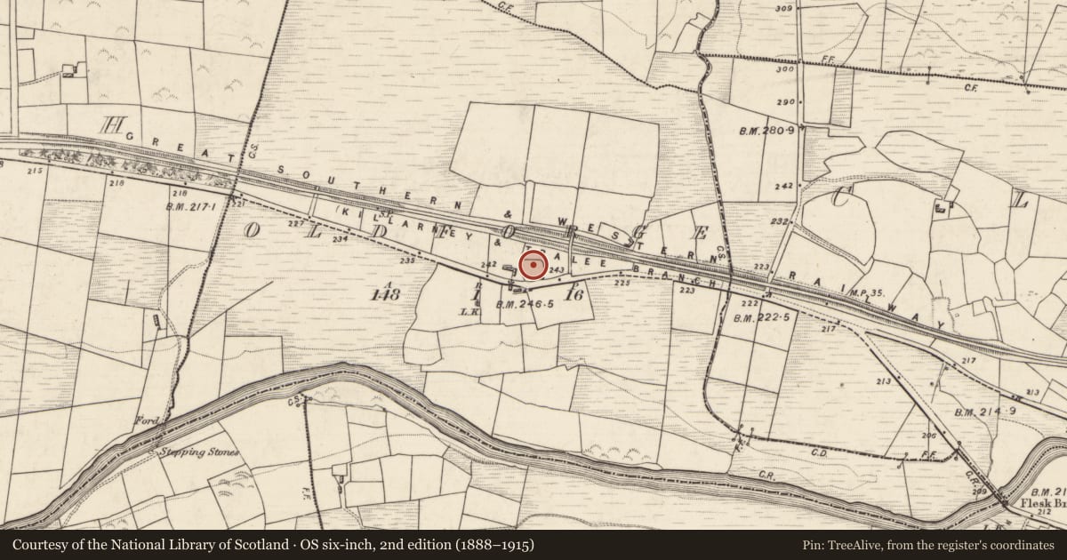 Ordnance Survey six-inch map, 2nd edition (1888–1915) covering the location of Ringfort - rath, Oldforge, County Kerry, with a pin at the register's coordinates