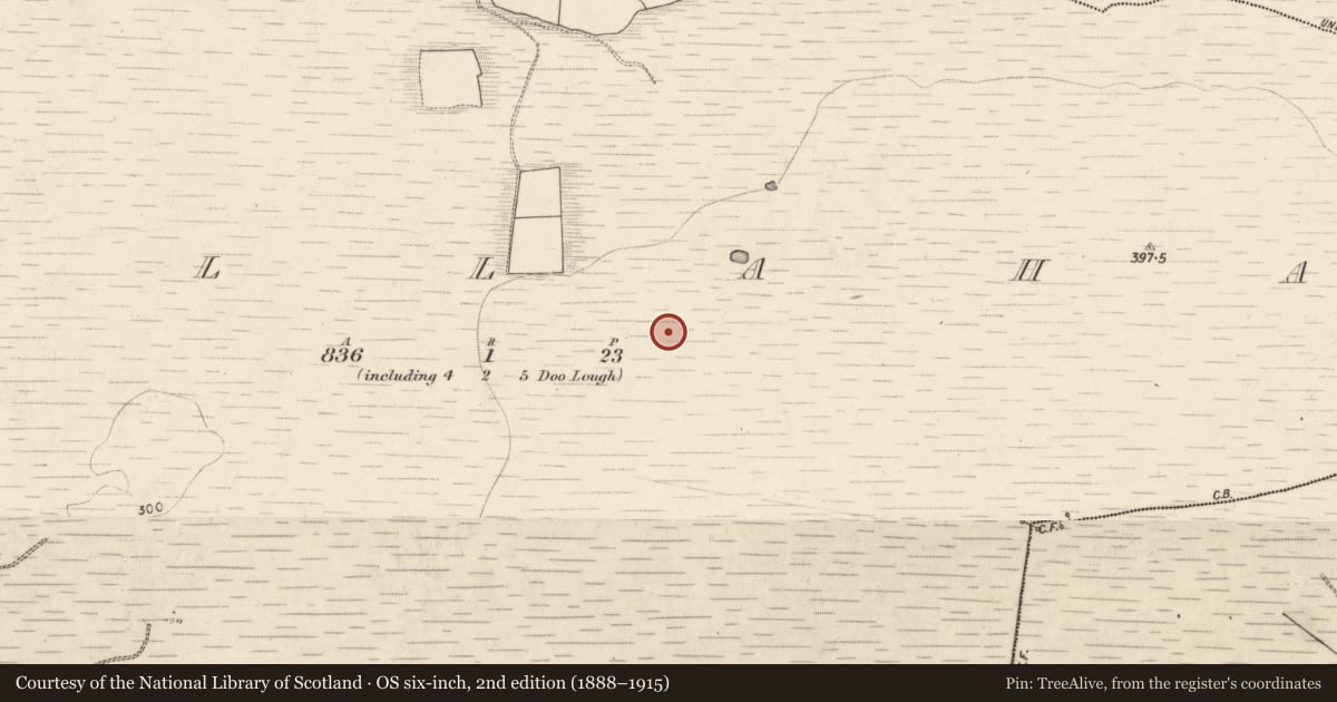 Ordnance Survey six-inch map, 2nd edition (1888–1915) covering the location of Ringfort - rath, Tullaha, County Kerry, with a pin at the register's coordinates