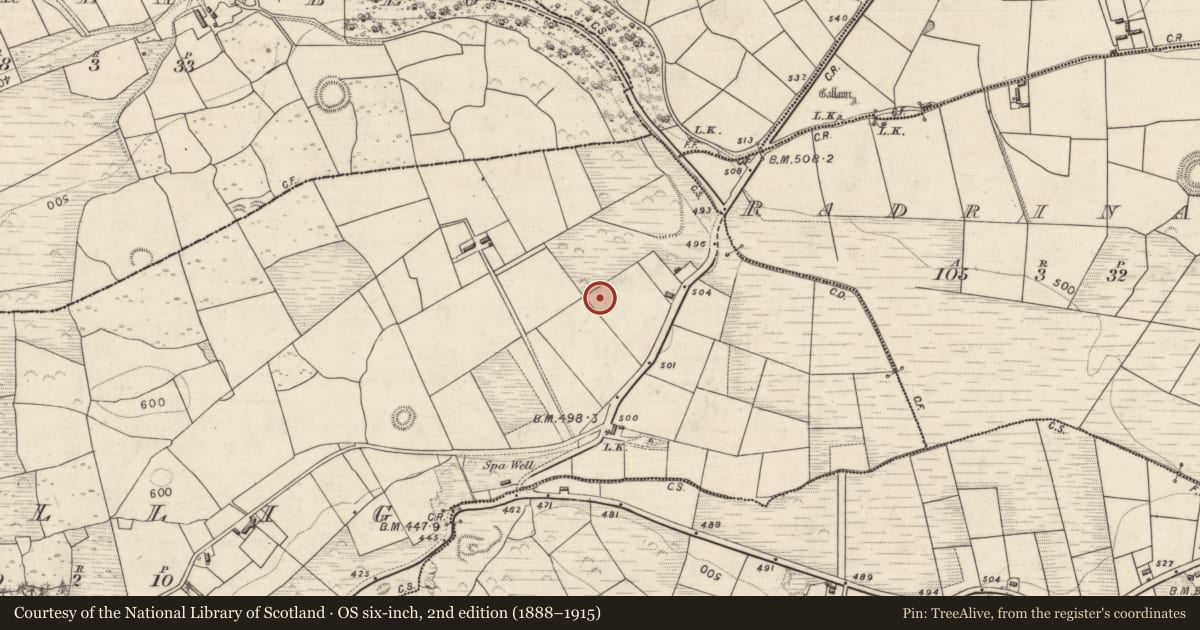 Ordnance Survey six-inch map, 2nd edition (1888–1915) covering the location of Standing stone, Tullig, County Kerry, with a pin at the register's coordinates