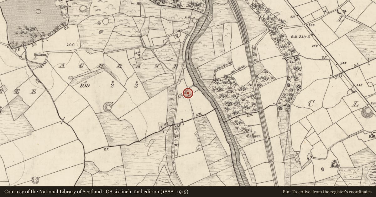 Ordnance Survey six-inch map, 2nd edition (1888–1915) covering the location of Religious house - Franciscan friars, Faghbane, County Kerry, with a pin at the register's coordinates