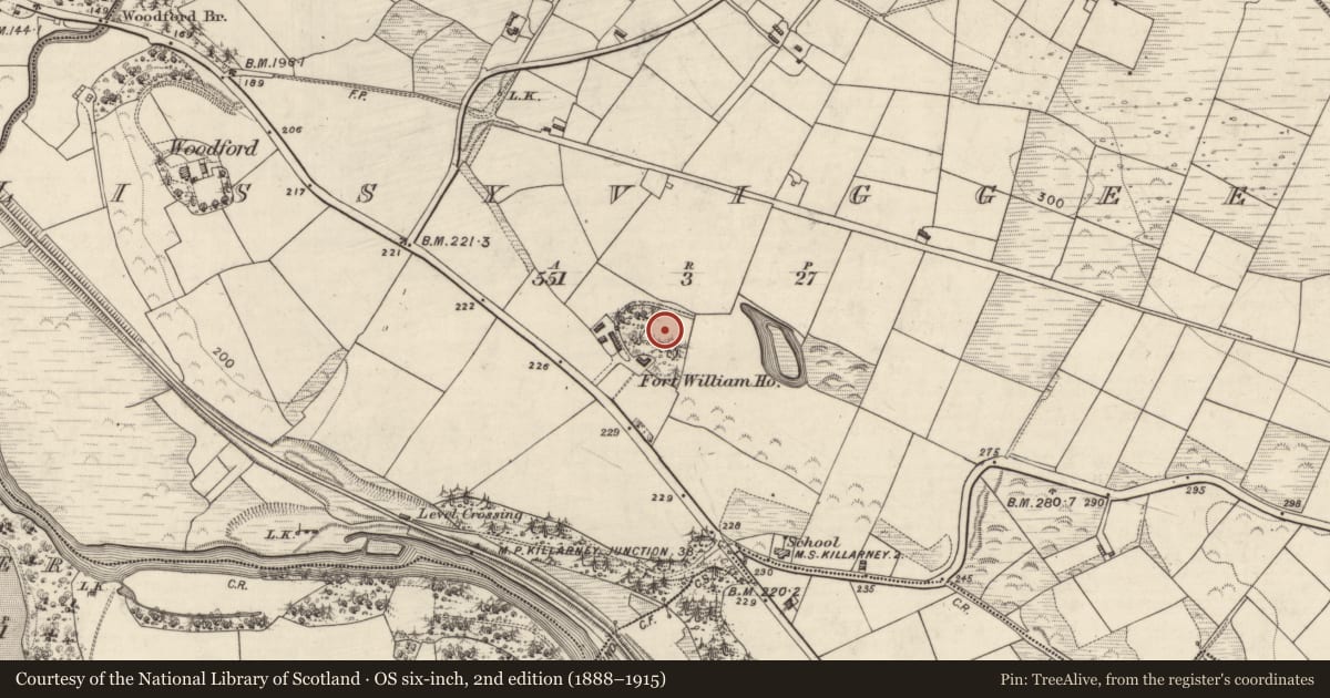 Ordnance Survey six-inch map, 2nd edition (1888–1915) covering the location of Ringfort - rath, Lissyviggeen, County Kerry, with a pin at the register's coordinates