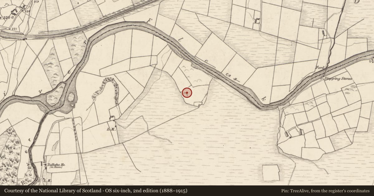 Ordnance Survey six-inch map, 2nd edition (1888–1915) covering the location of Souterrain, Tullaha, County Kerry, with a pin at the register's coordinates