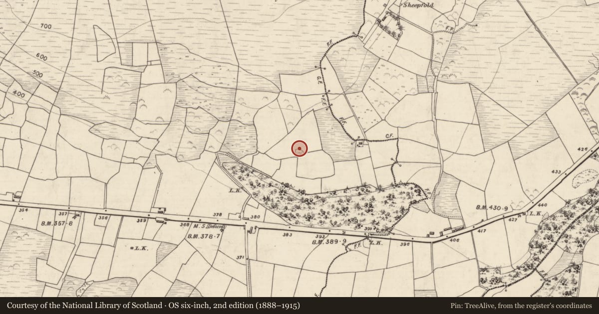 Ordnance Survey six-inch map, 2nd edition (1888–1915) covering the location of Children's burial ground, Ballahacommane, County Kerry, with a pin at the register's coordinates