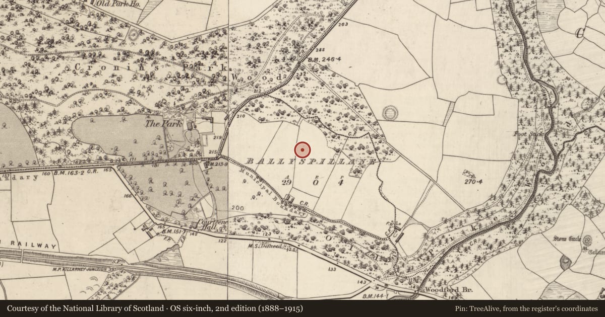 Ordnance Survey six-inch map, 2nd edition (1888–1915) covering the location of Ringfort - rath, Ballyspillane, County Kerry, with a pin at the register's coordinates