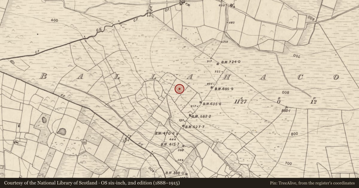Ordnance Survey six-inch map, 2nd edition (1888–1915) covering the location of Field system, Ballahacommane, County Kerry, with a pin at the register's coordinates