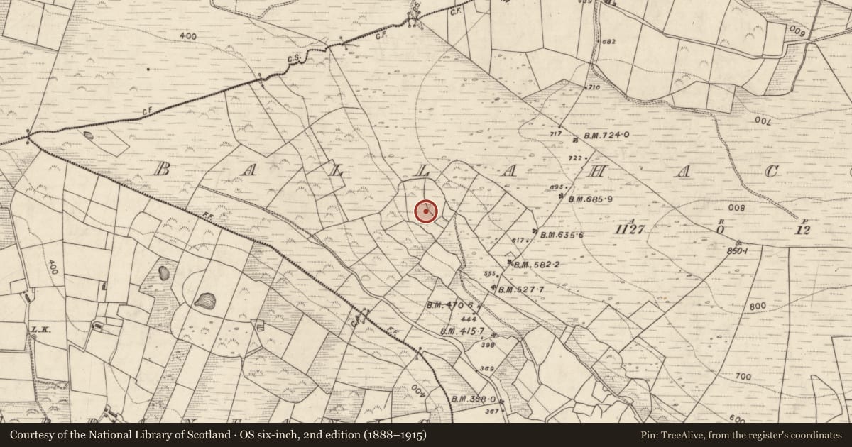 Ordnance Survey six-inch map, 2nd edition (1888–1915) covering the location of Enclosure, Ballahacommane, County Kerry, with a pin at the register's coordinates