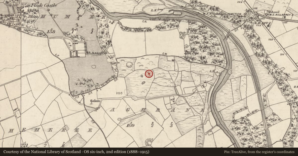 Ordnance Survey six-inch map, 2nd edition (1888–1915) covering the location of Ringfort - rath, Faghbane, County Kerry, with a pin at the register's coordinates
