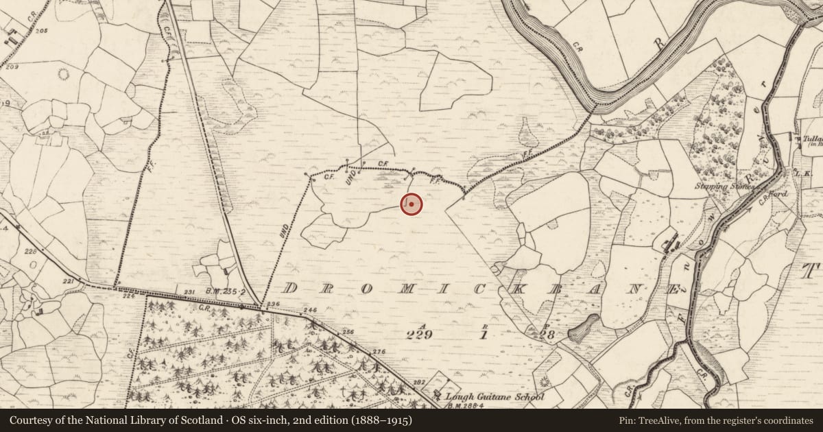 Ordnance Survey six-inch map, 2nd edition (1888–1915) covering the location of Field system, Dromickbane, Faghcullia, County Kerry, with a pin at the register's coordinates
