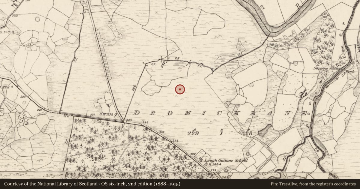 Ordnance Survey six-inch map, 2nd edition (1888–1915) covering the location of Hut site, Dromickbane, County Kerry, with a pin at the register's coordinates