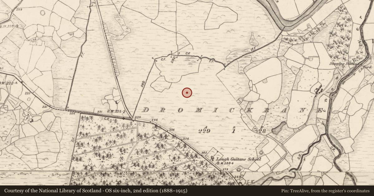 Ordnance Survey six-inch map, 2nd edition (1888–1915) covering the location of Hut site, Dromickbane, County Kerry, with a pin at the register's coordinates