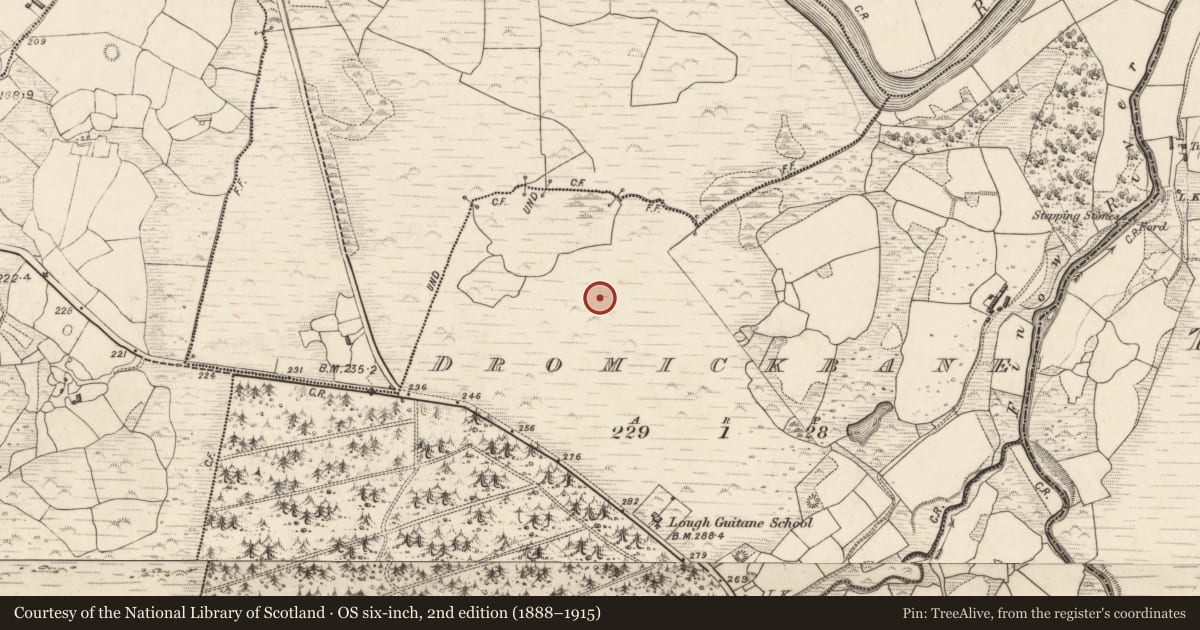 Ordnance Survey six-inch map, 2nd edition (1888–1915) covering the location of Hut site, Dromickbane, County Kerry, with a pin at the register's coordinates