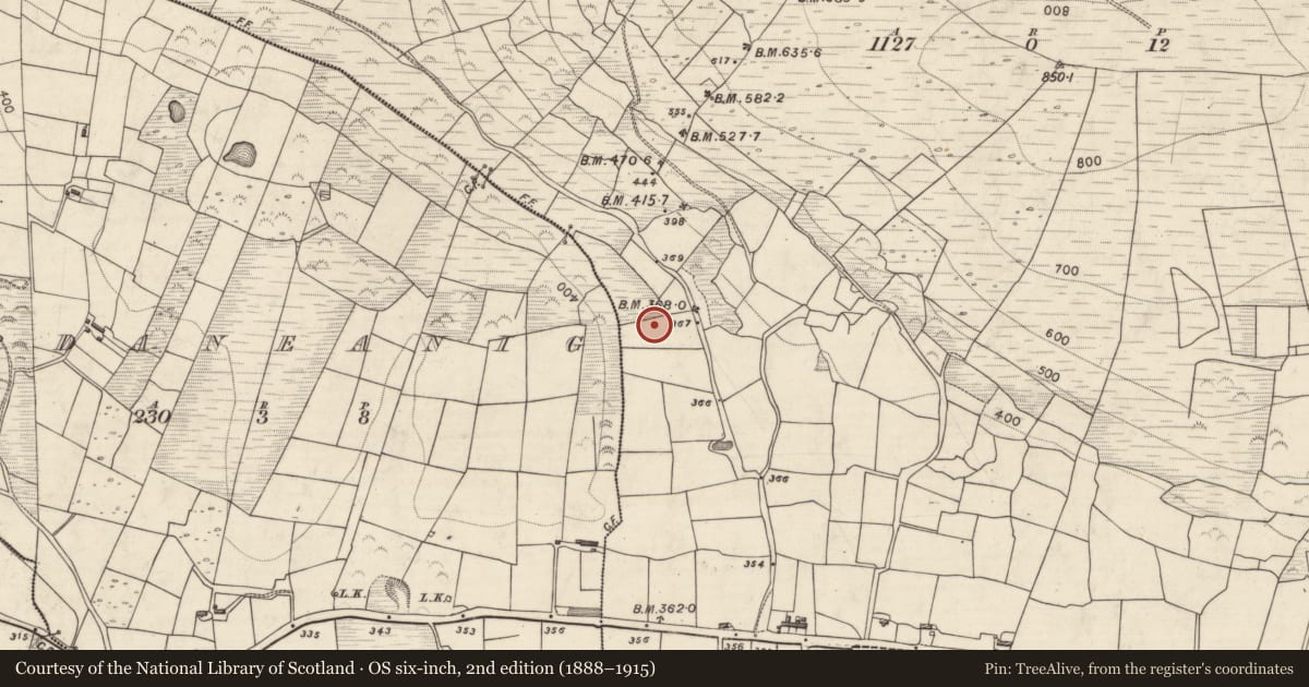 Ordnance Survey six-inch map, 2nd edition (1888–1915) covering the location of Standing stone - pair, Ballahacommane, County Kerry, with a pin at the register's coordinates