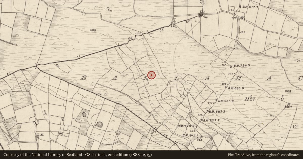 Ordnance Survey six-inch map, 2nd edition (1888–1915) covering the location of Hut site, Ballahacommane, County Kerry, with a pin at the register's coordinates