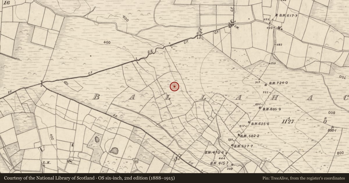 Ordnance Survey six-inch map, 2nd edition (1888–1915) covering the location of Cairn - unclassified, Ballahacommane, County Kerry, with a pin at the register's coordinates