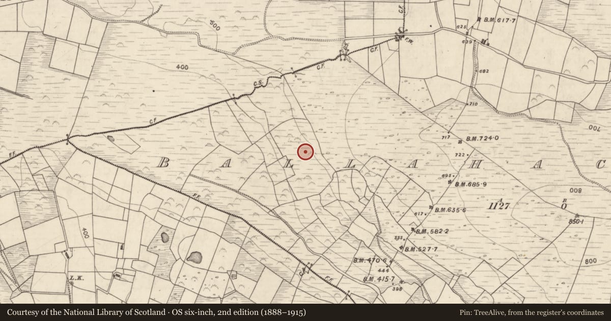 Ordnance Survey six-inch map, 2nd edition (1888–1915) covering the location of Cairn - unclassified, Ballahacommane, County Kerry, with a pin at the register's coordinates