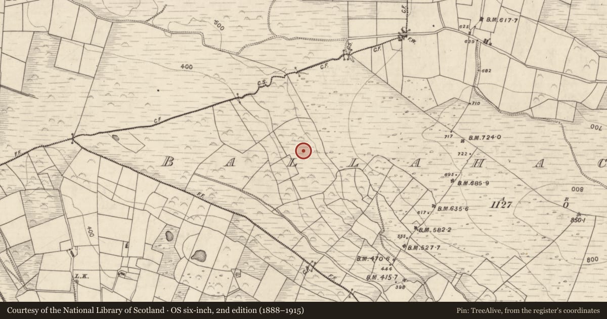 Ordnance Survey six-inch map, 2nd edition (1888–1915) covering the location of Cairn - unclassified, Ballahacommane, County Kerry, with a pin at the register's coordinates