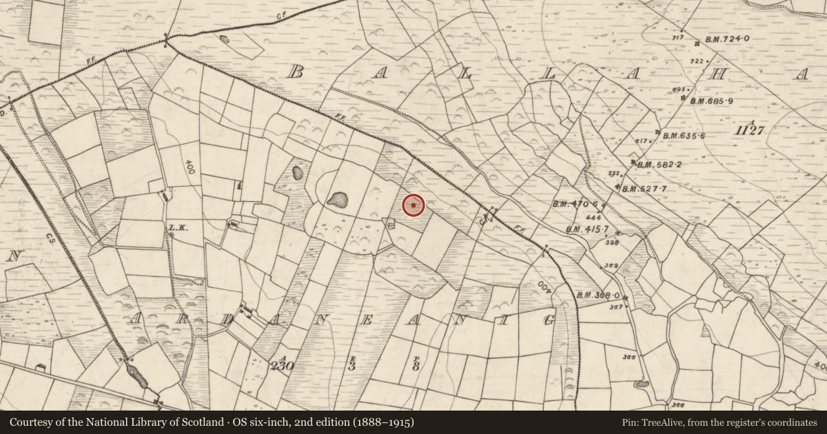 Ordnance Survey six-inch map, 2nd edition (1888–1915) covering the location of Ringfort - rath, Ardaneanig, County Kerry, with a pin at the register's coordinates
