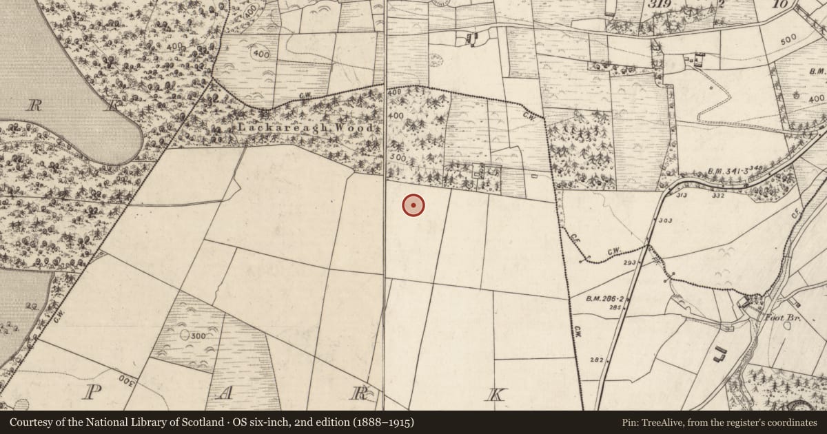 Ordnance Survey six-inch map, 2nd edition (1888–1915) covering the location of Barrow - ring-barrow, Park, County Kerry, with a pin at the register's coordinates
