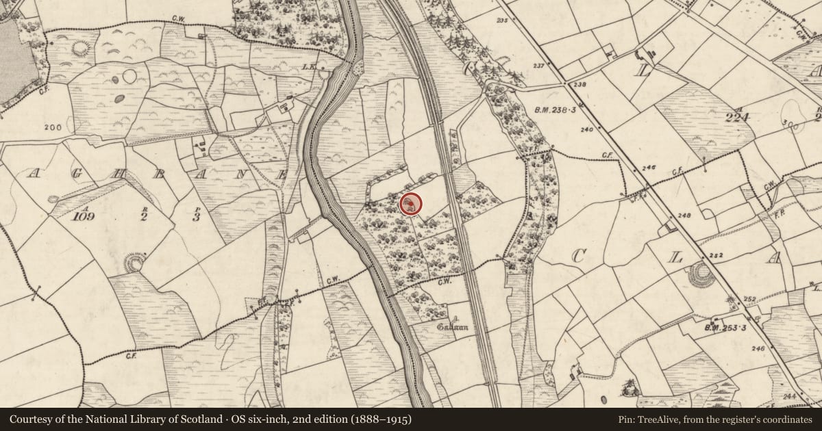 Ordnance Survey six-inch map, 2nd edition (1888–1915) covering the location of Children's burial ground, Clash, County Kerry, with a pin at the register's coordinates