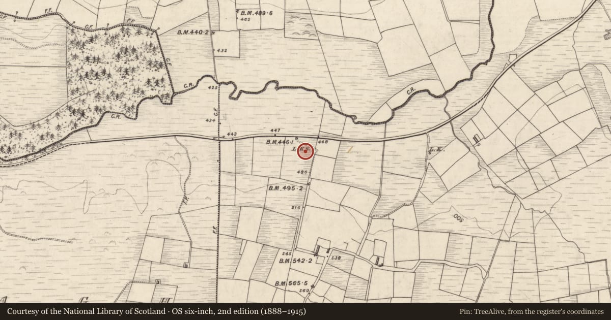 Ordnance Survey six-inch map, 2nd edition (1888–1915) covering the location of Enclosure, Ballahacommane, County Kerry, with a pin at the register's coordinates