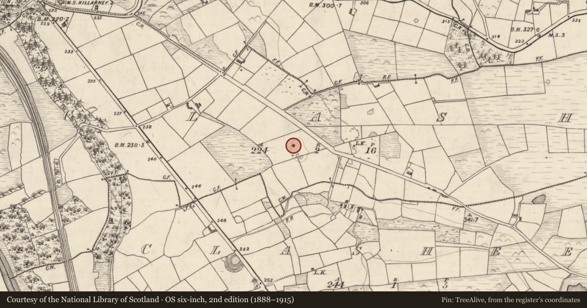 Ordnance Survey six-inch map, 2nd edition (1888–1915) covering the location of Ringfort - rath, Clash, County Kerry, with a pin at the register's coordinates