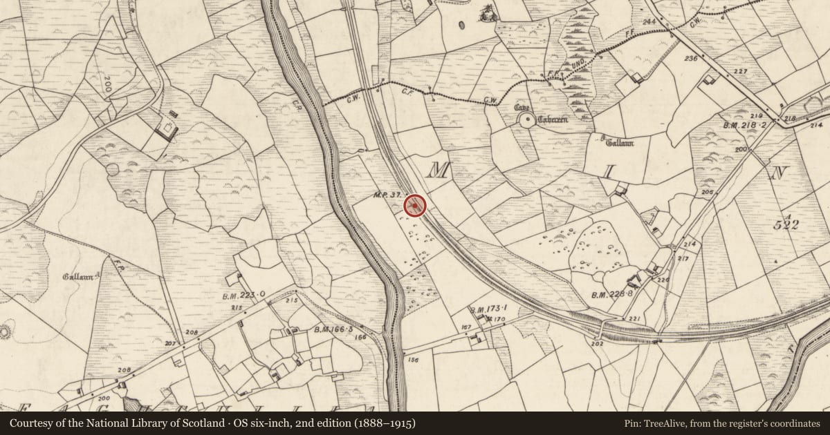 Ordnance Survey six-inch map, 2nd edition (1888–1915) covering the location of Souterrain, Minish, County Kerry, with a pin at the register's coordinates