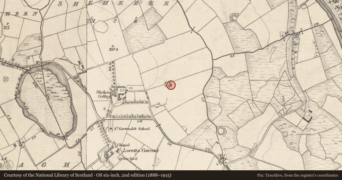 Ordnance Survey six-inch map, 2nd edition (1888–1915) covering the location of Standing stone, Sheheree, County Kerry, with a pin at the register's coordinates